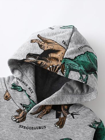 Kids Dinosaur Print Hoodie Sweatshirt, Gray with T-Rex Pattern Lt Weight Pullover with Hood in Saudi Arabia