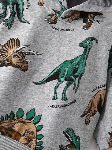 Kids Dinosaur Print Hoodie Sweatshirt, Gray with T-Rex Pattern Lt Weight Pullover with Hood in Saudi Arabia