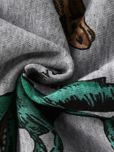 Kids Dinosaur Print Hoodie Sweatshirt, Gray with T-Rex Pattern Lt Weight Pullover with Hood in Saudi Arabia
