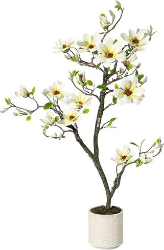 5FT فو ماغنوليا النباتات أشجار زهرة اصطناعية النباتات وهمية لساحة الفناء المنزل مكتب ترتيب ديكور داخلي في الهواء الطلق شجرة ماغنوليا الاصطناعية شركة 120 زهور واقعية أوراق حية الطحالب وعاء أبيض in Kuwait