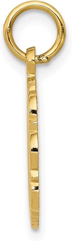 Jewelry Affairs 14k Yellow Gold RN Registered Nurse Disc Charm Pendant, 14mm in Saudi Arabia