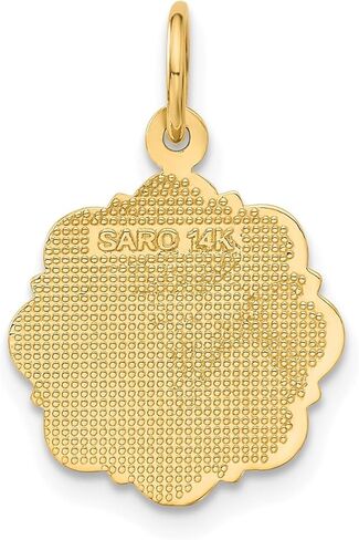 Jewelry Affairs 14k Yellow Gold RN Registered Nurse Disc Charm Pendant, 14mm in Saudi Arabia