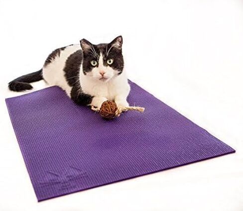 Cat Yoga Mat with Catnip Cat Toy. Cat Scratching Post, Bed, Activity Play Mat in Saudi Arabia