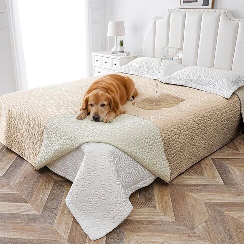 Waterproof Dog Blanket, Washable Anti-Slip Pet Couch Covers for Sofa,Pet Hair Resistant Blankets Bed Chair Furniture Couch Protector for Dogs-30x70,Darkgrey in Saudi Arabia