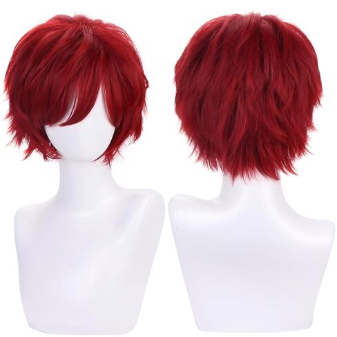 Men's Anime Short Black Cosplay Wig,Unisex Short Layered Synthetic Accessory Hair Wig+Hair Cap for Cosplay Halloween Costume in Saudi Arabia