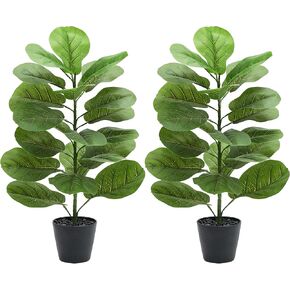 شجرة التين المصنوعة من أوراق الكمان الاصطناعية: نبات ليراتا صناعي بطول 6 أقدام، أشجار تين مزيفة من الحرير الأخضر الواقعي، أوراق كبيرة مع جذوع طبيعية وحصى في زارع أسود للمنزل والمكتب الداخلي والخارجي. in Kuwait