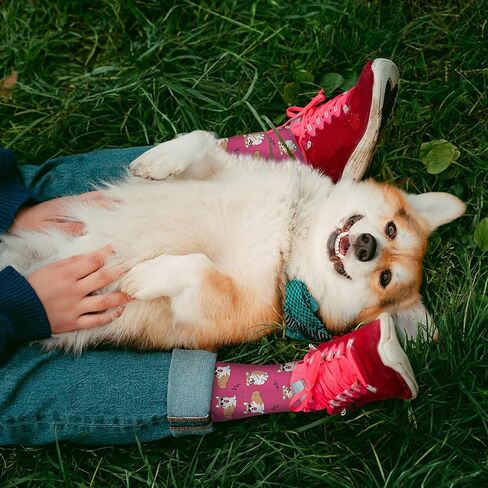 Comfy Corgi Socks, Cute Corgi Socks, Universal Fit, Super Fun Corgi Gifts for Corgi Lovers, Corgi Socks for Men & Women in Saudi Arabia