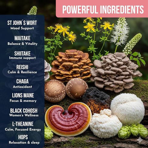 Ylva Blends Hormonal Balance Mushroom Coffee for Women – Instant Mushroom Coffee – Daily Wellness & Hormone Harmony for Perimenopause & Menopause – 5 Adaptogenic Mushrooms, Black Cohosh & L-Theanine – 36 Servings in Saudi Arabia