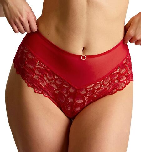 سراويل Panache النسائية العميقة Allure ذات الخصر العالي وتفاصيل الدانتيل - تغطية كاملة أنيقة in Saudi Arabia