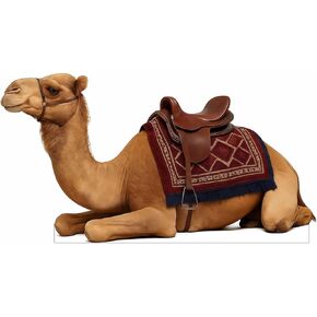 Christmas Elf Cardboard Cutouts – 4mm Corrugated Plastic Holiday Props 4 FT, Perfect Christmas Standee Decorations for Indoor/Outdoor Décor, Style-2 in Kuwait