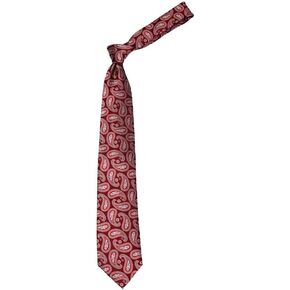 XL-13209 - Men's Big and Tall XL Extra Long Paisley Necktie in Saudi Arabia
