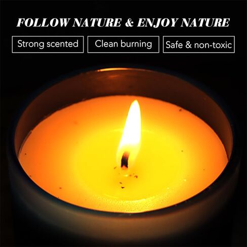 Sage & Lemongrass Scented Soy Candles for Home Spa Aromatherapy Candles with Natural Essential Oils | Long-Lasting Outdoor/Indoor Use, Calm Relaxation Gifts– 6OZ in Saudi Arabia