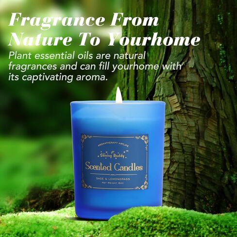 Sage & Lemongrass Scented Soy Candles for Home Spa Aromatherapy Candles with Natural Essential Oils | Long-Lasting Outdoor/Indoor Use, Calm Relaxation Gifts– 6OZ in Saudi Arabia