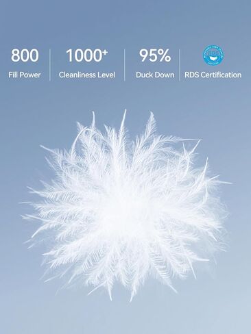 Airfree المرأة 800-أسفل ملء سترة منتفخة الشتاء مقاومة للرياح طارد المياه الدافئة جيوب بسحاب مقنعين أسفل أبلى معطف in Kuwait
