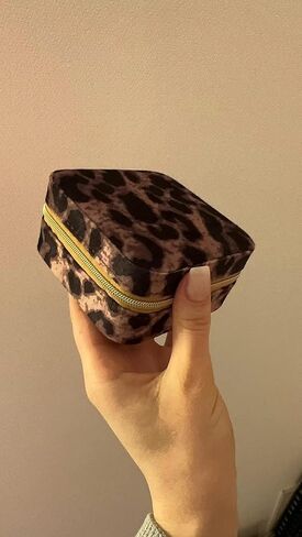 Portable Leopard Print Travel Jewelry Box, Small Organizer Case for Necklaces, Rings, Earrings (咖色豹纹) in Saudi Arabia