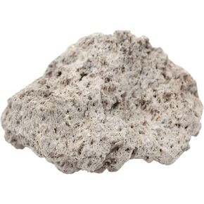 EISCO 6PK Raw Pumice, Igneous Rock Specimens - Approx. 1" - Geologist Selected & Hand Processed - Great for Science Classrooms - Class Pack