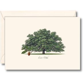 Earth Sky + Water - Live Oak Notecard Set - 8 Blank Cards with Envelopes