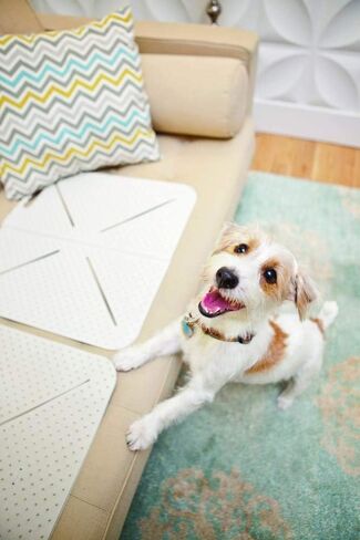 X-Mat Mammoth Original Pet Training Aid 18" Long x 18" Wide - Pack of 2 in Kuwait