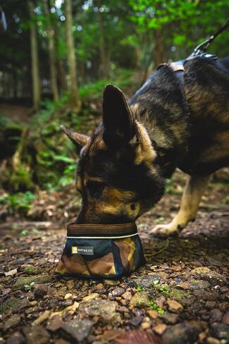 Ruffwear، وعاء Quencher للكلاب، قابل للطي، وعاء محمول للطعام والماء، من الطوب الناري، متوسط in Kuwait