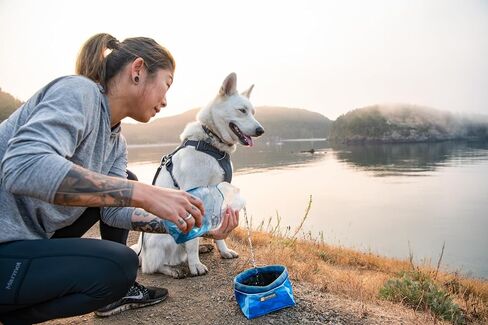 Ruffwear، وعاء Quencher للكلاب، قابل للطي، وعاء محمول للطعام والماء، من الطوب الناري، متوسط in Kuwait