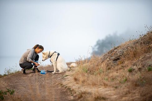 Ruffwear، وعاء Quencher للكلاب، قابل للطي، وعاء محمول للطعام والماء، من الطوب الناري، متوسط in Kuwait