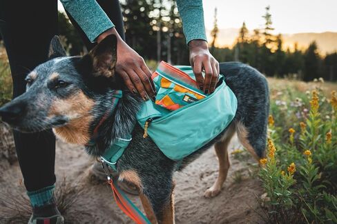 Ruffwear، وعاء Quencher للكلاب، قابل للطي، وعاء محمول للطعام والماء، من الطوب الناري، متوسط in Kuwait