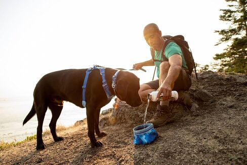 Ruffwear، وعاء Quencher للكلاب، قابل للطي، وعاء محمول للطعام والماء، من الطوب الناري، متوسط in Kuwait