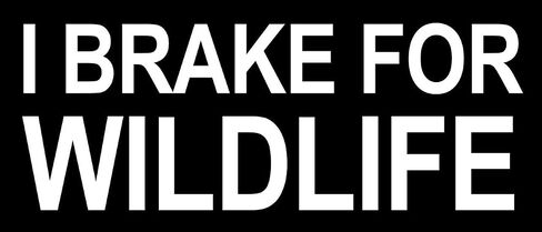Black I Brake for Wildlife Bumper Sticker (Funny car Driver no Bad Save The Animals Outdoor Vinyl Decal for car Truck (3 x 7 inch) in Saudi Arabia