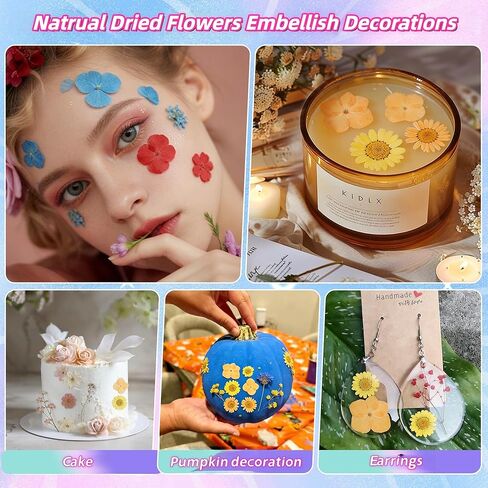 Lumea Dried Flowers for Resin Crafts,Natural Small Dried Pressed Flowers Real Wildflowers Leaves Bulk Handmade Kit for Epoxy Resin JewelryDIY Embossed paintingPumpkin Decoration,Candles & Soap Making in Saudi Arabia
