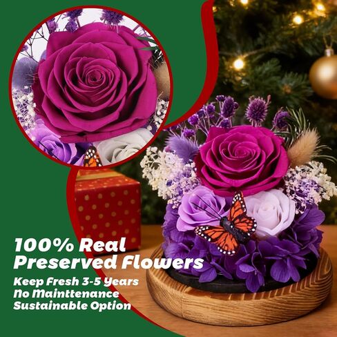 Christmas Real Forever Flowers with LED, Preserved Eternal Roses in Glass Dome, Gifts for Her Women Girlfriend (Purple) in Saudi Arabia