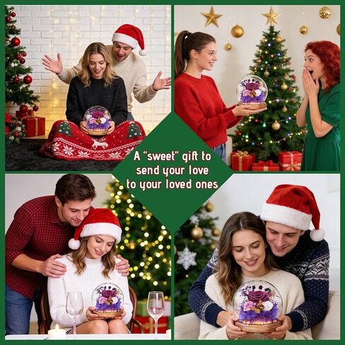 Christmas Real Forever Flowers with LED, Preserved Eternal Roses in Glass Dome, Gifts for Her Women Girlfriend (Purple) in Saudi Arabia