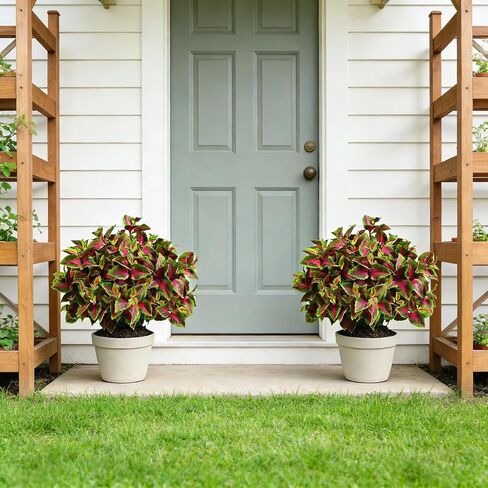 QIANYUN 17" Artificial Colorful Foliage Ball, UV Resistant Faux Leaf Bush, Pre-Assembled Outdoor Decorative Plant for Garden, Front Door, Lawn, Planters or Patio (1, Mixed Colors) in Saudi Arabia