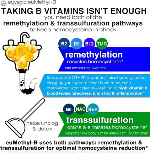 Methylated B Complex Vitamins Riboflavin B6 B12 Folate L-Serine NAC & TMG Supplements Brain Heart MTHFR Immune Support - Methylated Multivitamin L Methylfolate Active 5-MTHF (180) Dr Ekberg euMethyl-B in Saudi Arabia