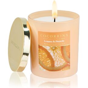 شموع الخريف من كوكورينا - شموع معطرة برائحة فانيليا بوربون 5 أونصة من شمع الصويا للمنزل، وقت احتراق 31 ساعة، هدايا شموع للعلاج العطري للرجال والنساء in Kuwait