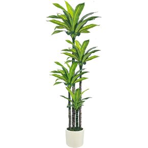 شجرة Dracaena الاصطناعية بطول 6 أقدام، نباتات Dracaena وهمية طويلة مع مزارع أبيض، نبات شجرة التنين الصناعي للأرضيات الداخلية لديكور المنزل والمكتب وغرفة المعيشة والشرفة والدفء المنزلي (6 أقدام) in Saudi Arabia