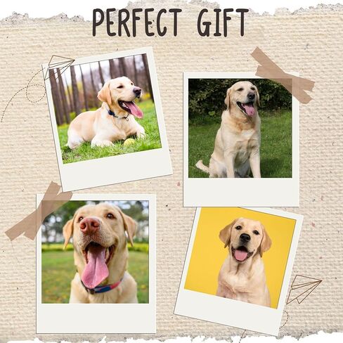 InnoBeta Labrador Retriever Gifts for Women & Men, Gifts for Dog Mom Dog Dad on Birthday & Christmas, One Size Crew Socks in Saudi Arabia