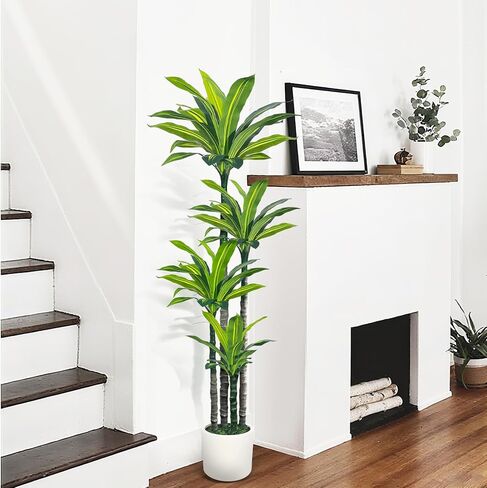 Artificial Dracaena Tree 6ft, Tall Fake Dracaena Plants with White Planter, Faux Dragon Tree Indoor Floor Plant for Home Decor Office Living Room Porch Housewarming (6ft) in Saudi Arabia