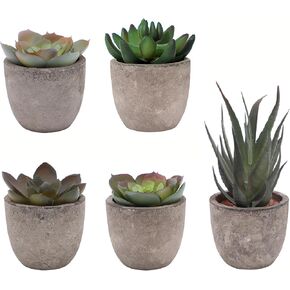Set of 5 Artificial Succulent Plants in Pots - Lifelike Fake Succulents for Desk Decor, Low-Maintenance Home & Office Decor Gift in Saudi Arabia