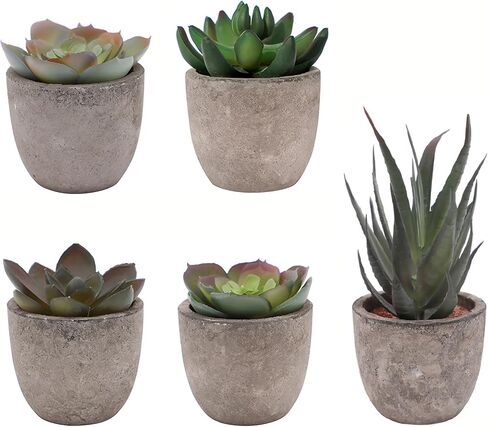 Set of 5 Artificial Succulent Plants in Pots - Lifelike Fake Succulents for Desk Decor, Low-Maintenance Home & Office Decor Gift in Saudi Arabia