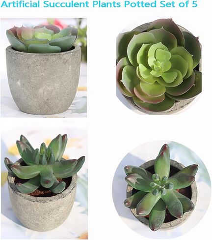 Set of 5 Artificial Succulent Plants in Pots - Lifelike Fake Succulents for Desk Decor, Low-Maintenance Home & Office Decor Gift in Saudi Arabia