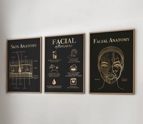 NATVVA 3 Pieces Canvas Frame Facial Anatomy Wall Art Posters Skin Anatomy Painting Facial Aftercare Pictures Prints for Beauty Salon Decor Living Room Decoration in Saudi Arabia