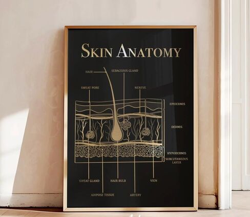 NATVVA 3 Pieces Canvas Frame Facial Anatomy Wall Art Posters Skin Anatomy Painting Facial Aftercare Pictures Prints for Beauty Salon Decor Living Room Decoration in Saudi Arabia