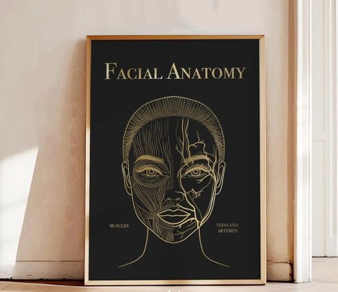 NATVVA 3 Pieces Canvas Frame Facial Anatomy Wall Art Posters Skin Anatomy Painting Facial Aftercare Pictures Prints for Beauty Salon Decor Living Room Decoration in Saudi Arabia