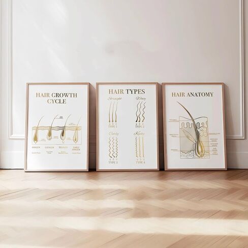 NATVVA 3 Pieces Canvas Frame Facial Anatomy Wall Art Posters Skin Anatomy Painting Facial Aftercare Pictures Prints for Beauty Salon Decor Living Room Decoration in Saudi Arabia