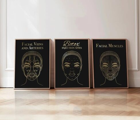 NATVVA 3 Pieces Canvas Frame Facial Anatomy Wall Art Posters Skin Anatomy Painting Facial Aftercare Pictures Prints for Beauty Salon Decor Living Room Decoration in Saudi Arabia