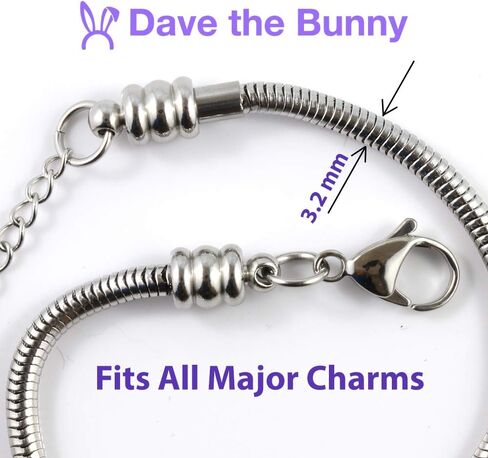 Dave The Bunny Brazil Bracelet This Stainless Steel Snake Chain Bracelet is a great Keepsake or Souvenir Brazil Map or Brazil Jewelry for Women makes excellent Brazilian Bracelets in Saudi Arabia