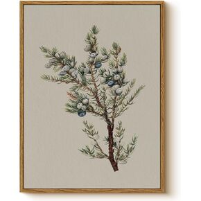 خمر العرعر التوت قماش طباعة مؤطرة جدار الفن، 12x16 نبات العرعر التوت النبات التوضيح العمل الفني، ريفي مزرعة عيد الميلاد ديكور الشتاء لغرفة المعيشة غرفة نوم مدخل المطبخ in Kuwait