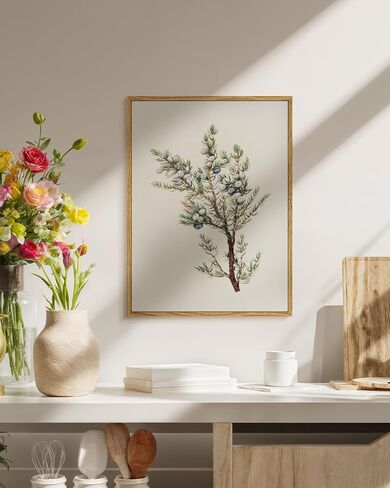 خمر العرعر التوت قماش طباعة مؤطرة جدار الفن، 12x16 نبات العرعر التوت النبات التوضيح العمل الفني، ريفي مزرعة عيد الميلاد ديكور الشتاء لغرفة المعيشة غرفة نوم مدخل المطبخ in Kuwait