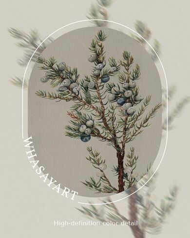 خمر العرعر التوت قماش طباعة مؤطرة جدار الفن، 12x16 نبات العرعر التوت النبات التوضيح العمل الفني، ريفي مزرعة عيد الميلاد ديكور الشتاء لغرفة المعيشة غرفة نوم مدخل المطبخ in Kuwait