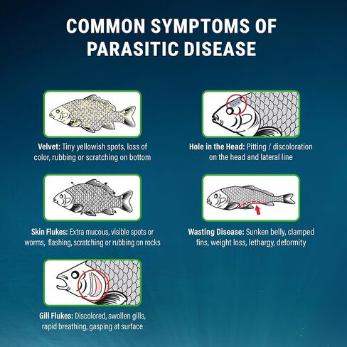 فريتز أكواتيكس باراكلينس يوفر راحة سريعة من الأمراض الطفيلية (20 قطعة) in Kuwait